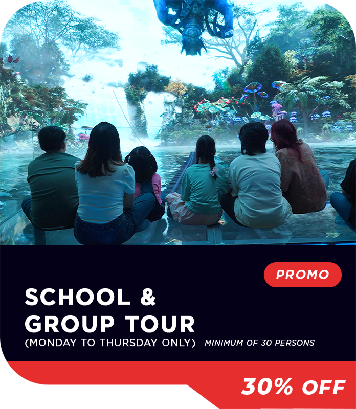 Tier 8 : SCHOOL AND TOUR